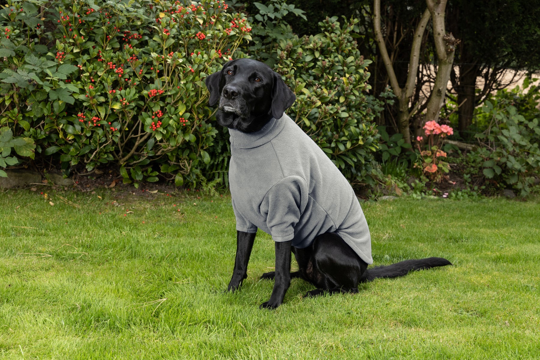 Dog fleece jumpers to keep your dog warm