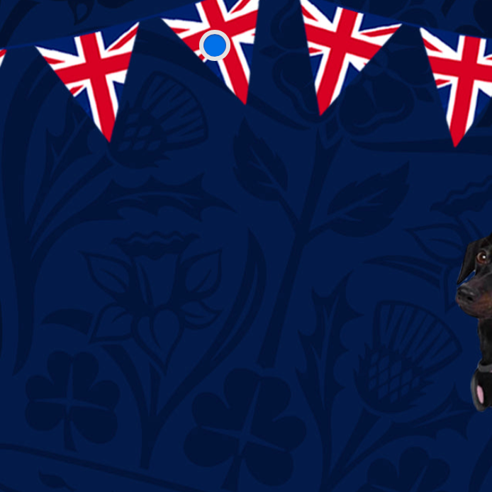 Best of British Brands Blog - featuring dogs in coats, dog treats and a dog bed