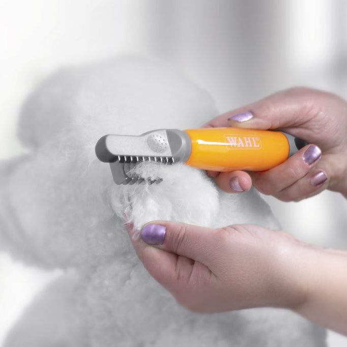 A grooming guide to your dogs spring shedding