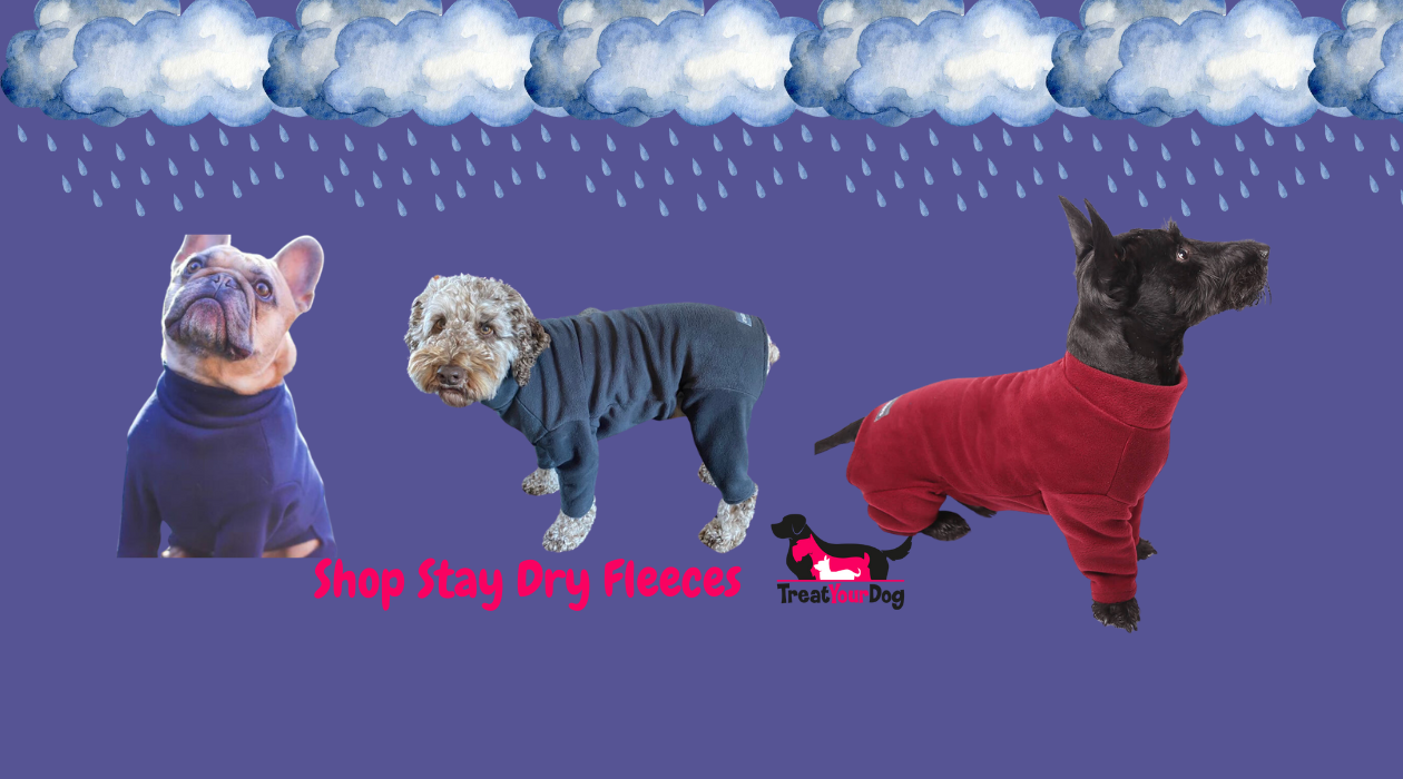 Keep Your Dog Warm, Dry, and Clean with the Walksters Stay Dry Body Fleece