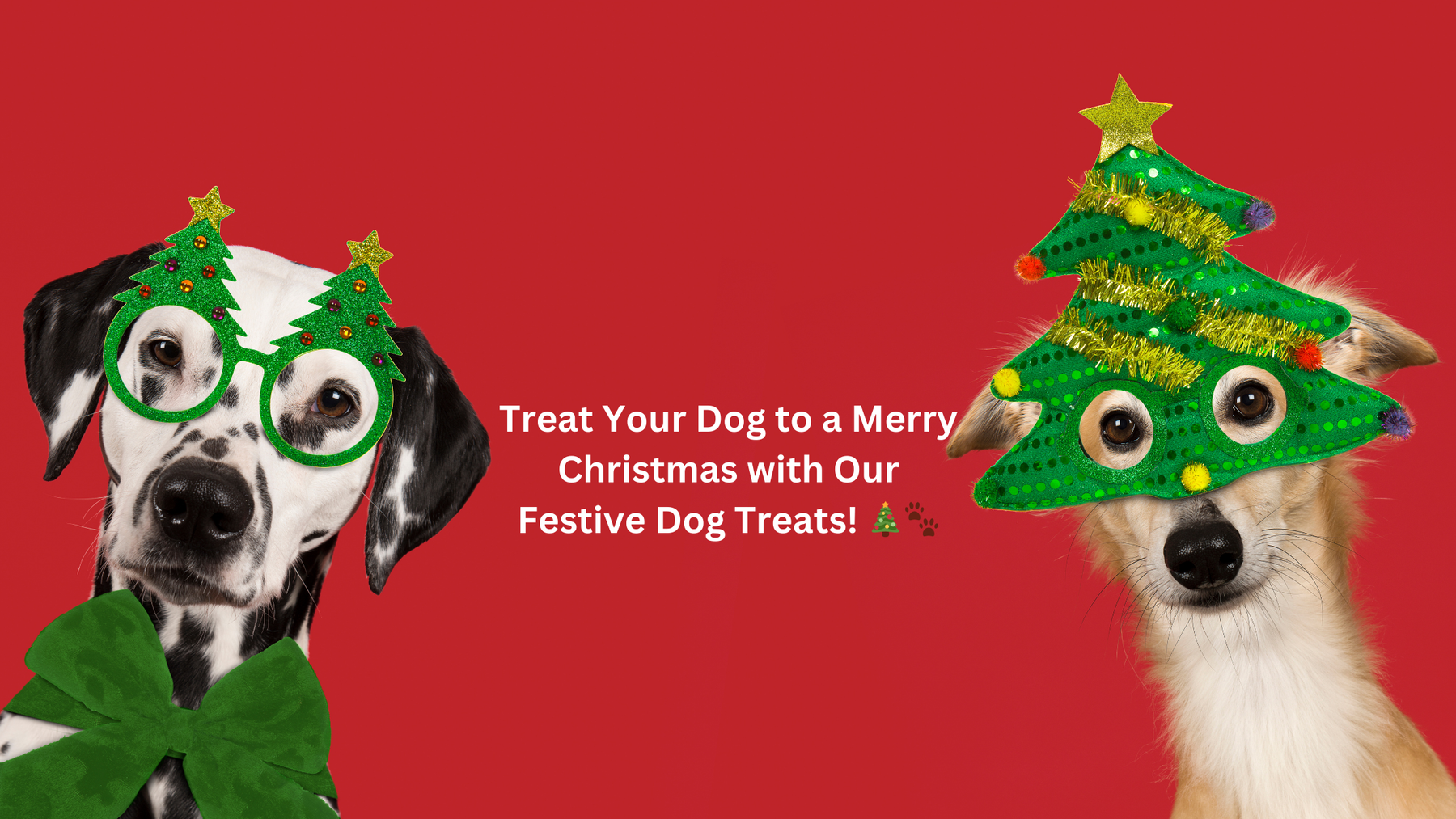 Treat Your Dog to a Merry Christmas with Our Festive Dog Treats! 🎄🐾