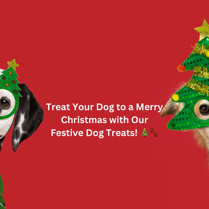 Treat Your Dog to a Merry Christmas with Our Festive Dog Treats! 🎄🐾