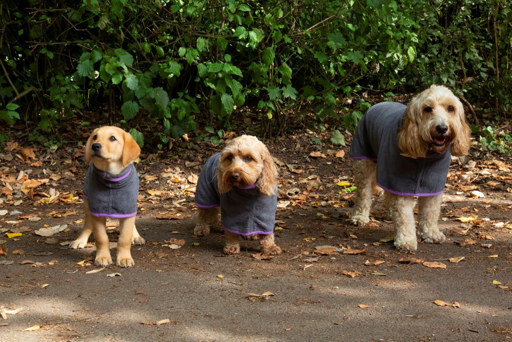 Dog towel robes the easy way to dry your doggie