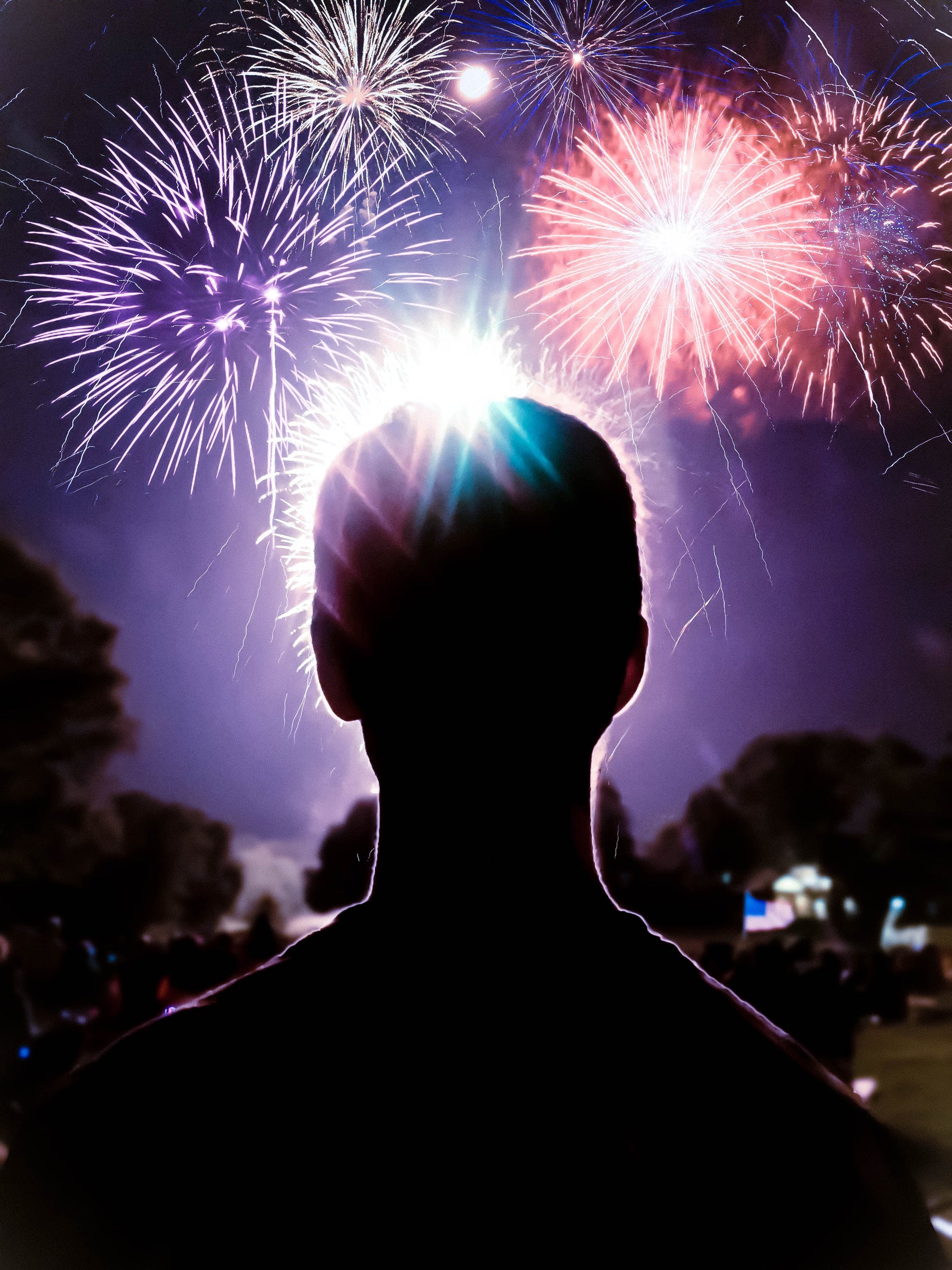 Firework Season - Tips for Dog Owners