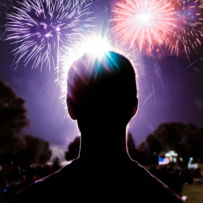 Firework Season - Tips for Dog Owners