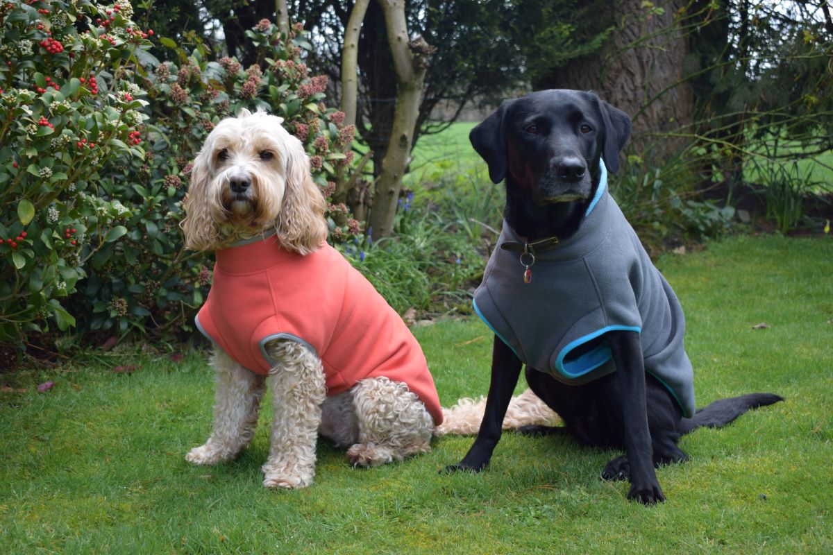 The best dog fleece for your dog