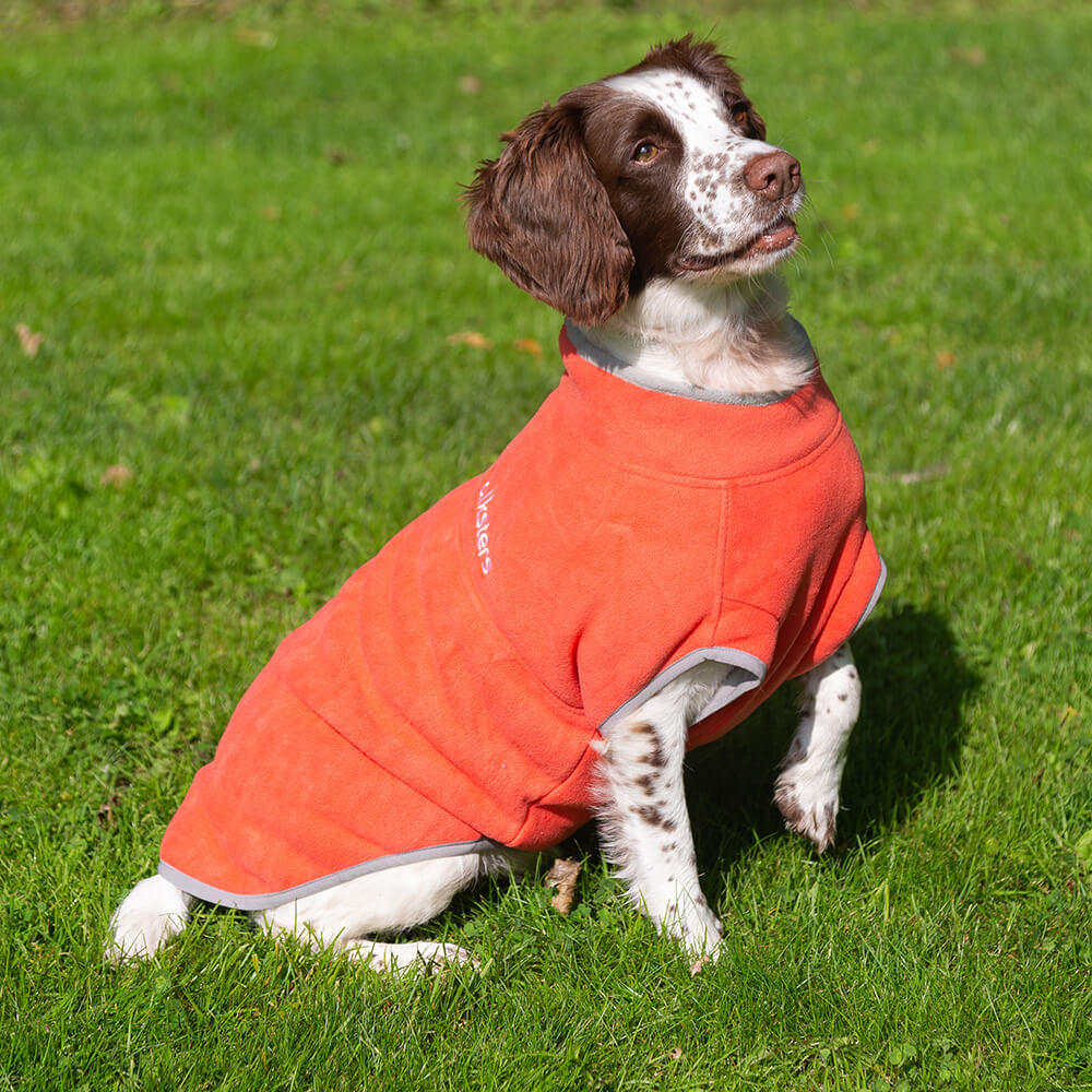 fleeces for dogs