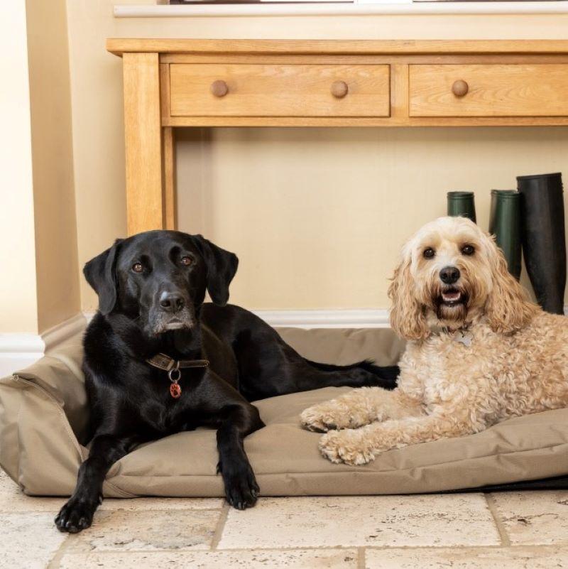 All styles of beds for dogs and puppies