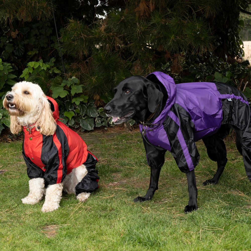 Dog Coats with Legs