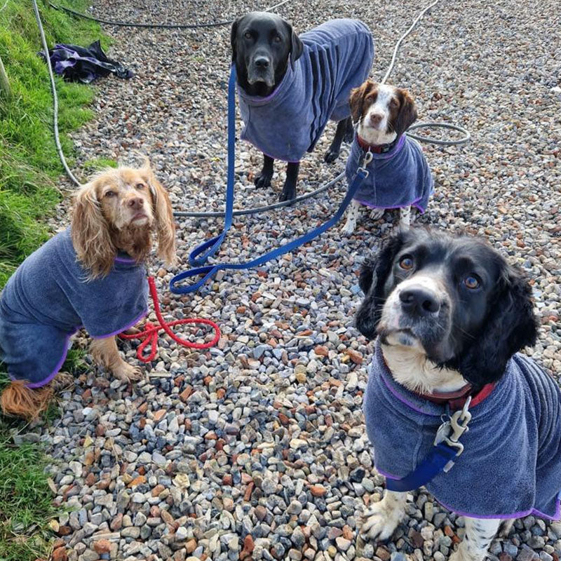 Walksters Microfibre Dog Drying Coat