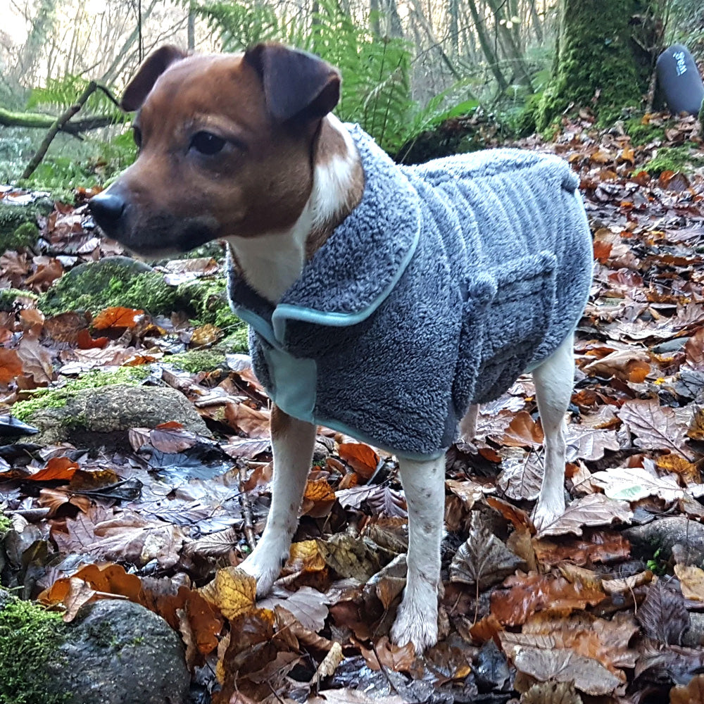 Henry Wag Microfibre Dog Drying Coat