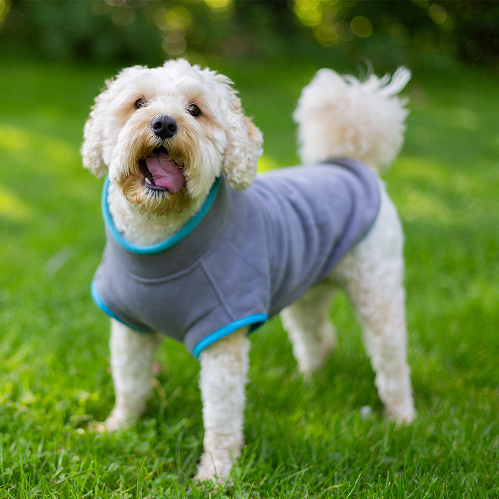 Walksters Dog Fleece Jumper in Grey