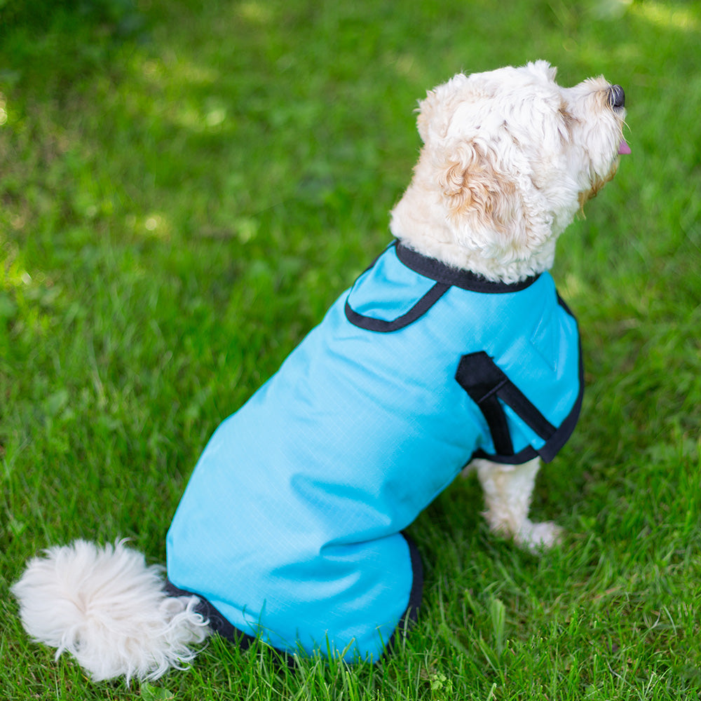 All Seasons Waterproof Dog Coat in Turquoise Blue