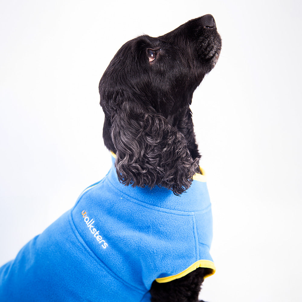 Walksters Dog Fleece Jumper in Blue