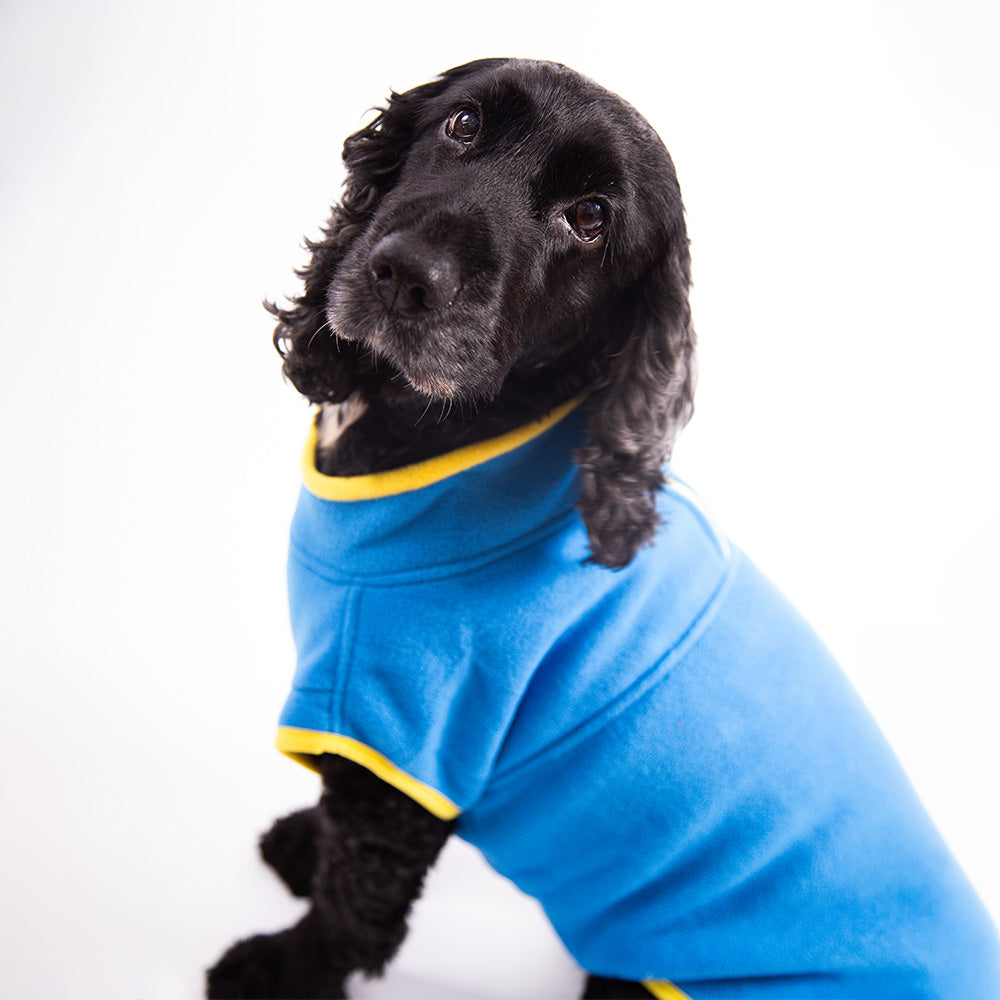 Walksters Dog Fleece Jumper in Blue