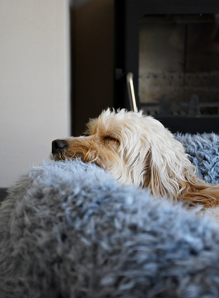 Comfort Calming Round Dog Bed in Grey