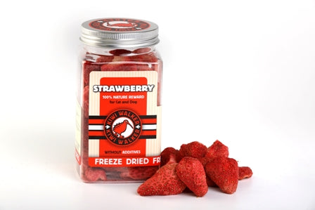 Freeze Dried Strawberry 100% Natural Treats - Kiwi Walker