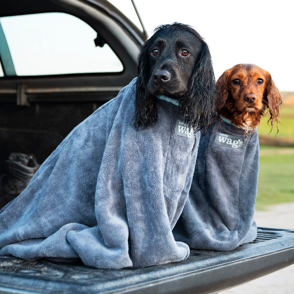 Microfibre Pet Dog Drying Bag