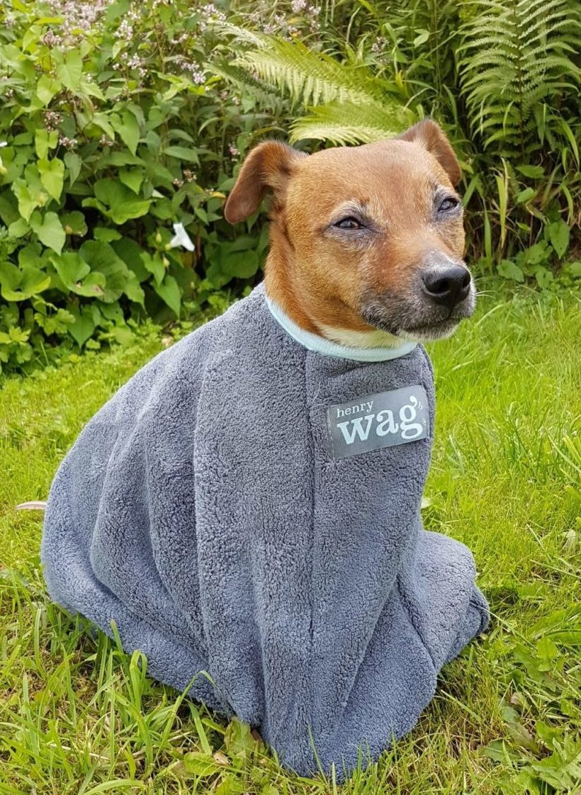Microfibre Pet Dog Drying Bag