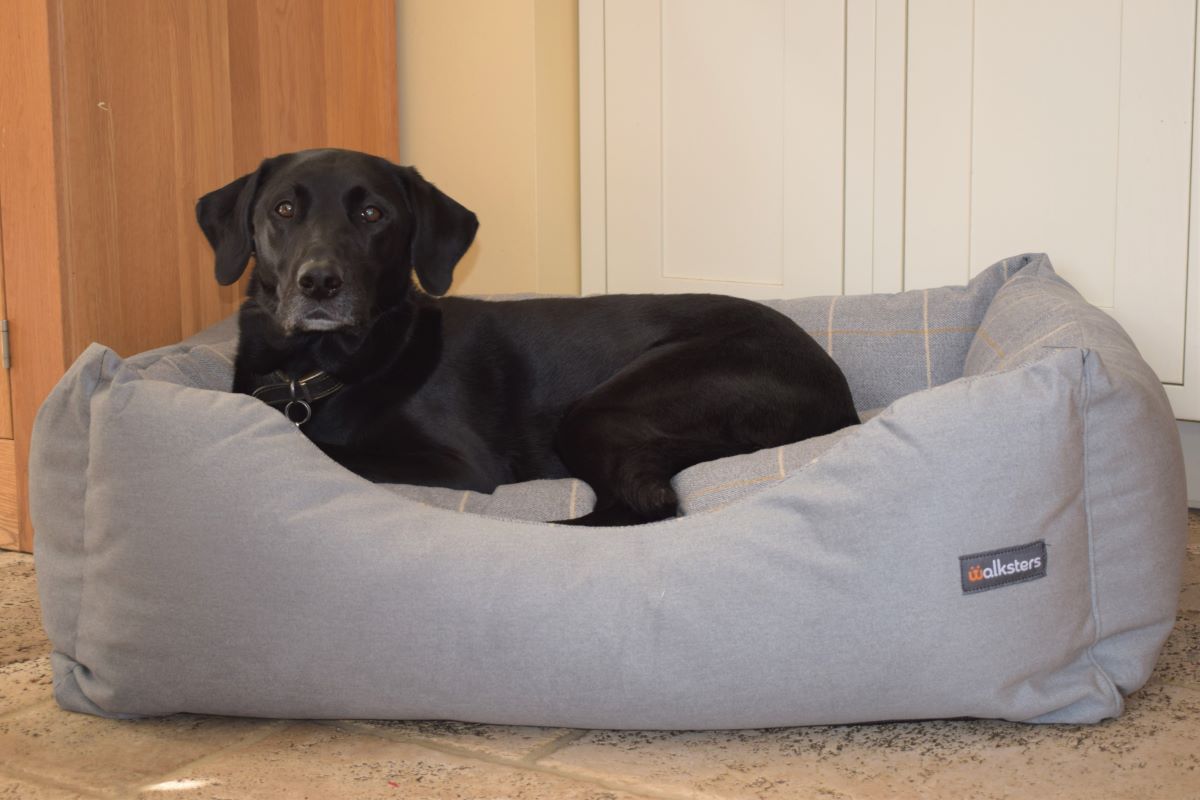 Walksters Buckingham Luxury Dog Bed in Grey Check