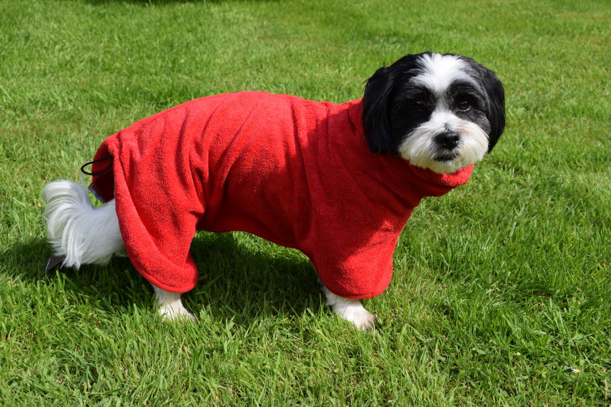 Walksters Microfibre Dog Drying Coat in Red