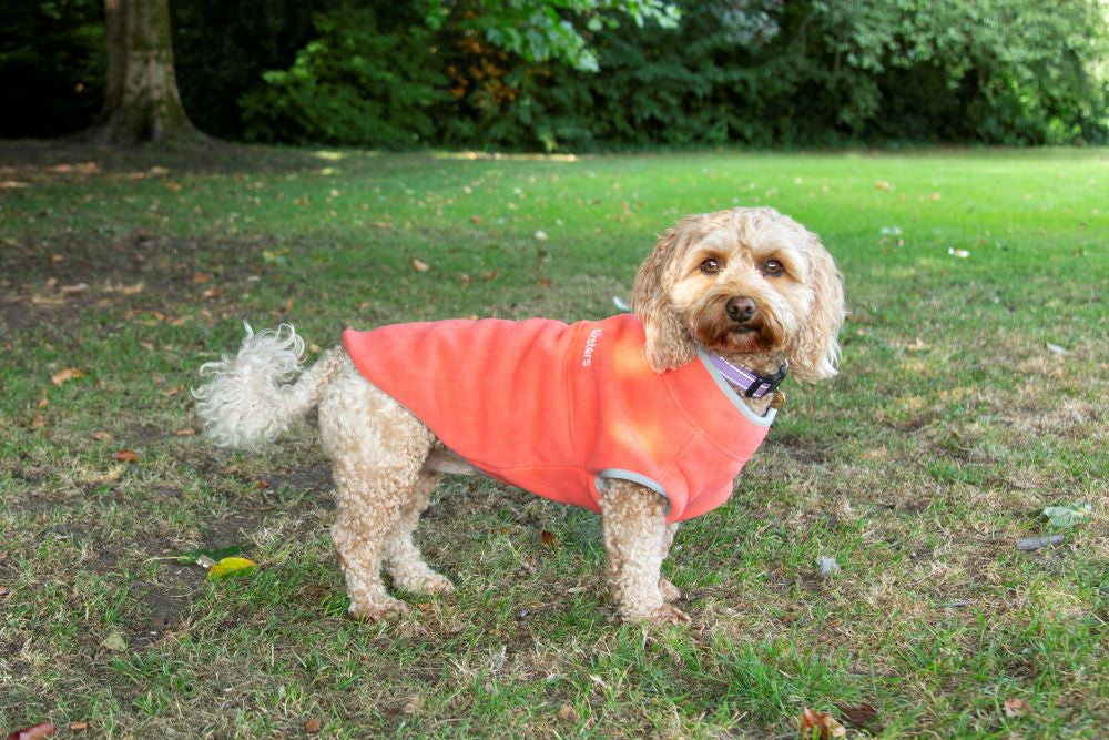 Walksters Dog Fleece Jumper in Soft Orange