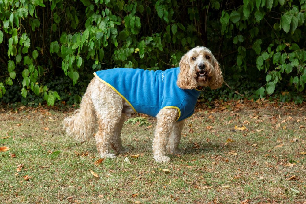 Walksters Dog Fleece Jumper in Blue