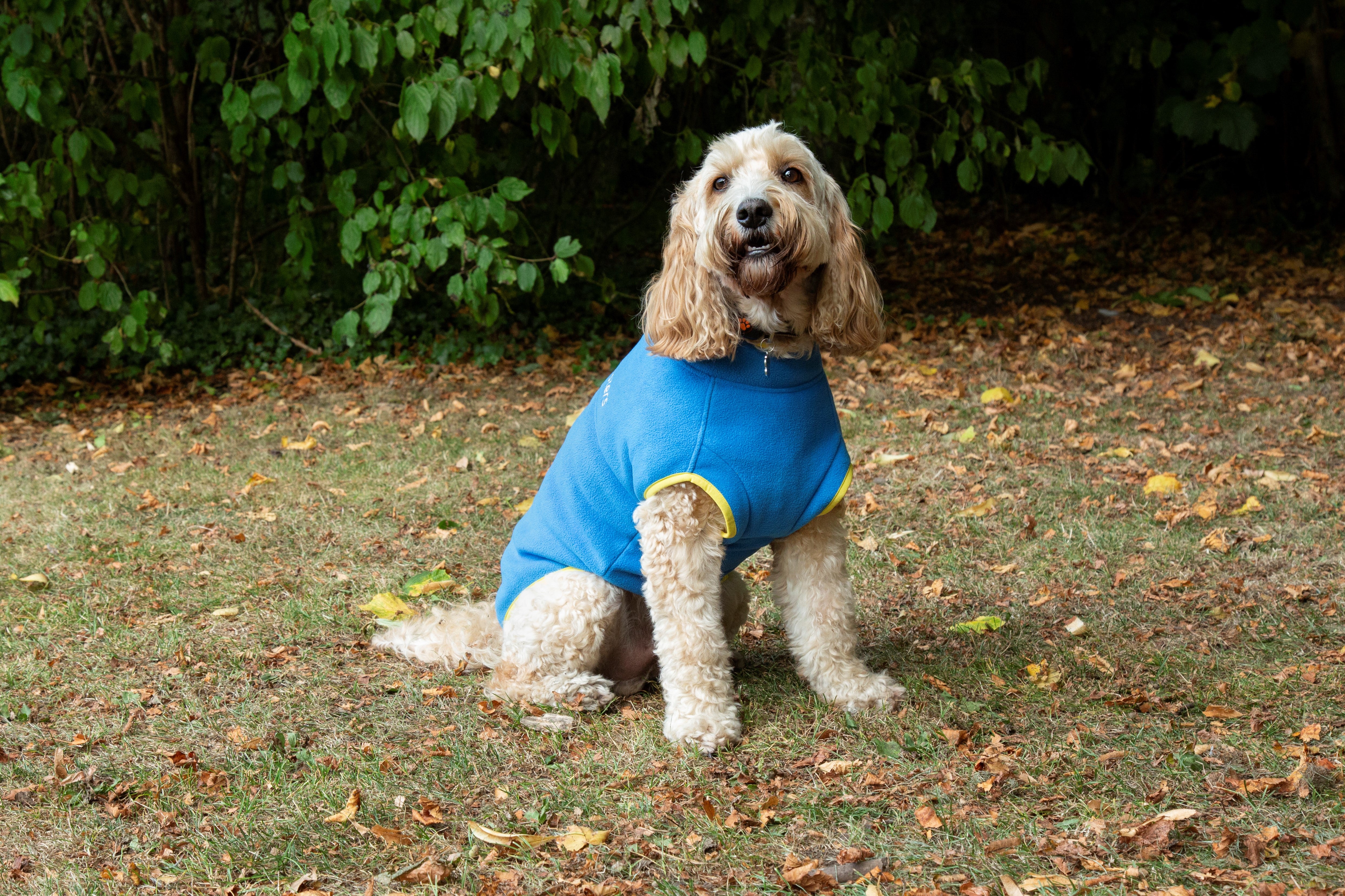 Walksters Dog Fleece Jumper in Blue