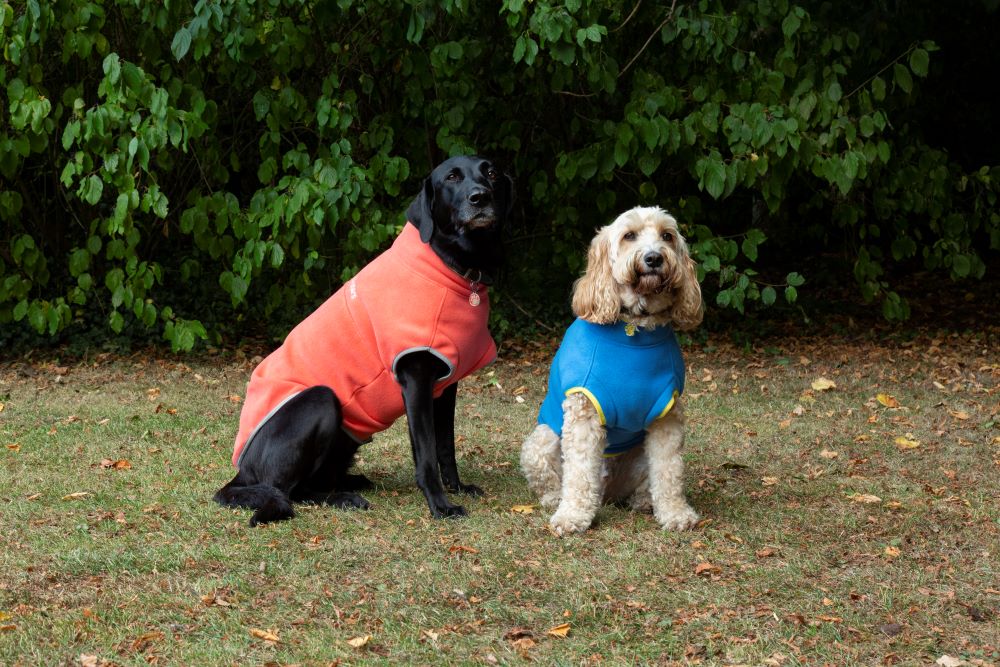 Walksters Dog Fleece Jumper in Soft Orange