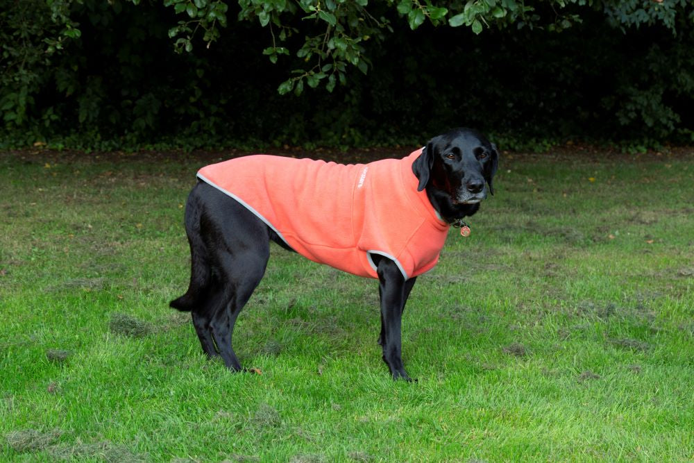Walksters Dog Fleece Jumper in Soft Orange