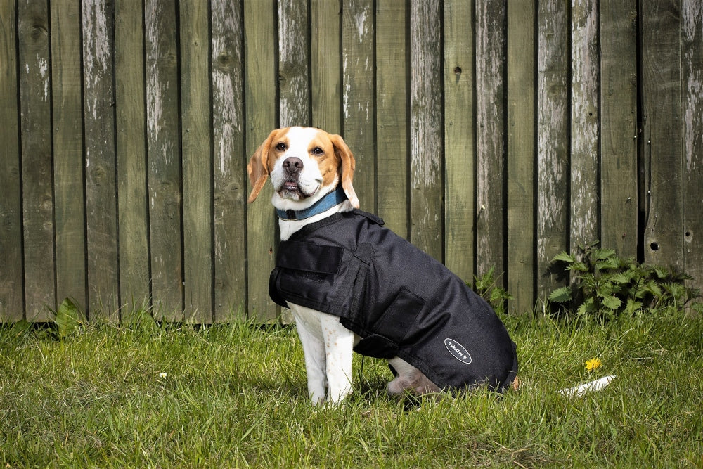 All Seasons Waterproof Dog Coat in Black