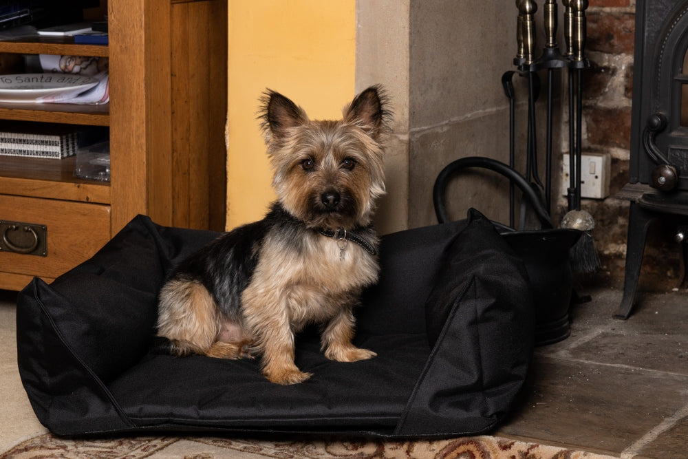Walksters Waterproof Dog Bed in Black