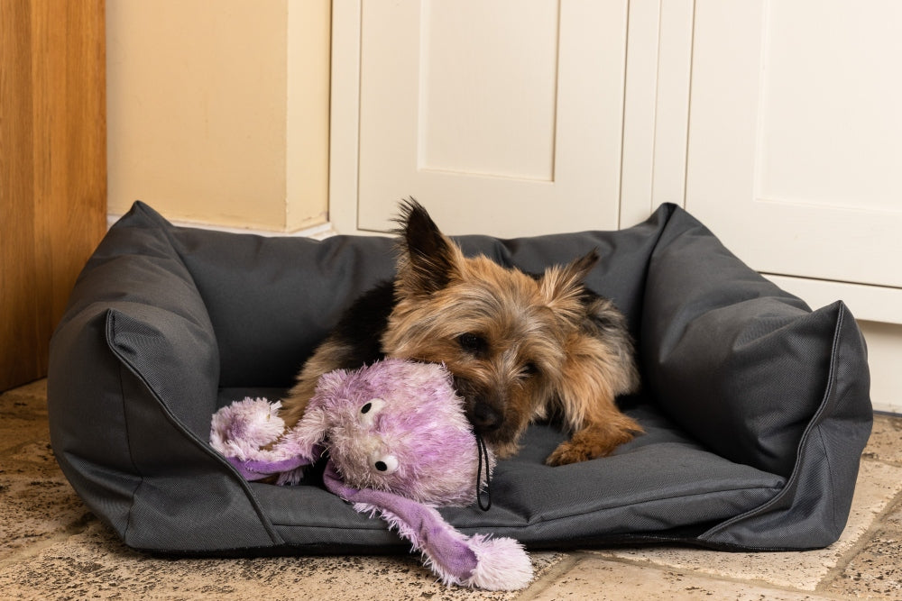 Walksters Waterproof Dog Bed in Grey