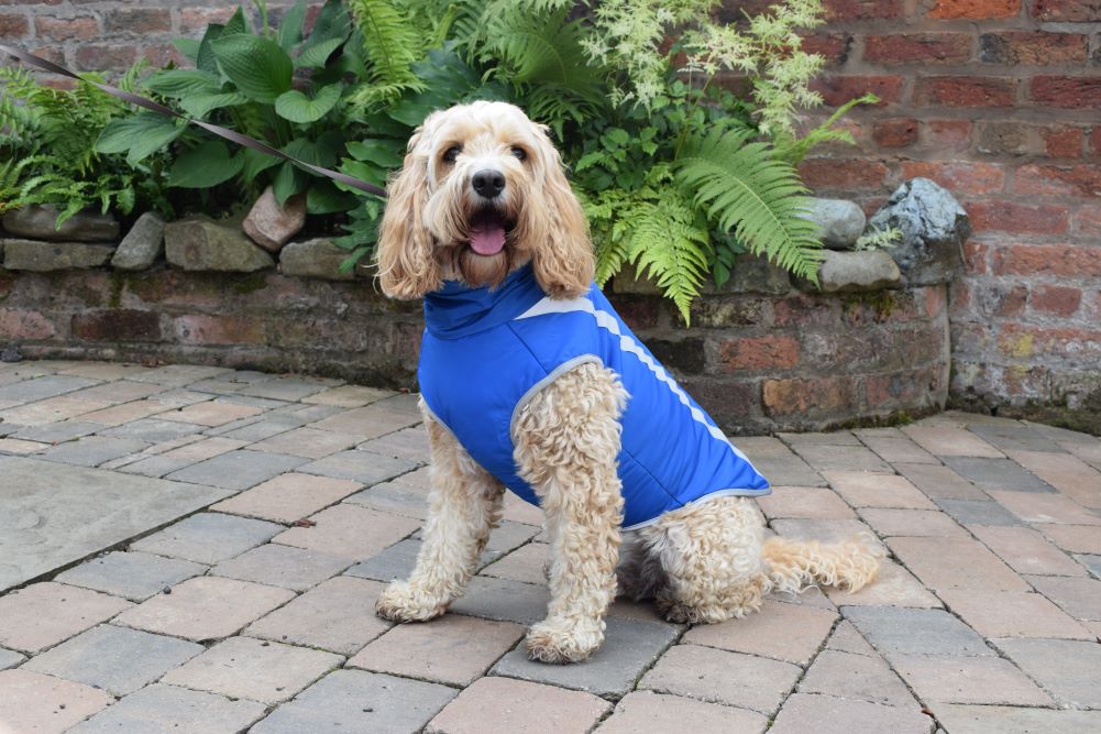 Walksters Fleece Lined Waterproof Dog Coat in Blue
