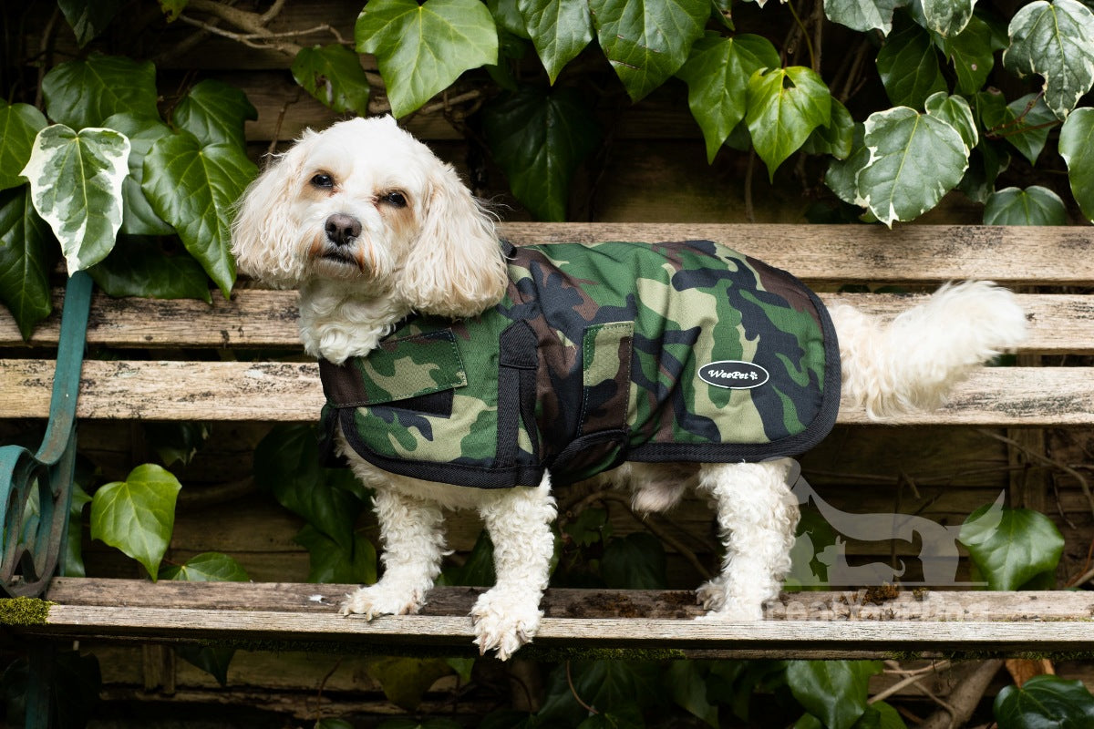 All Seasons Waterproof Dog Coat in Camouflage
