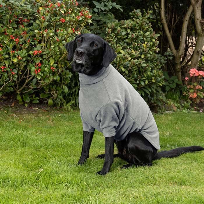 Dog fleece jumpers to keep your dog warm