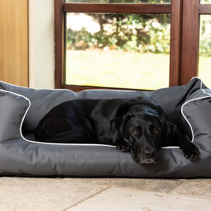What are the Best Dog Beds for Large Dogs?