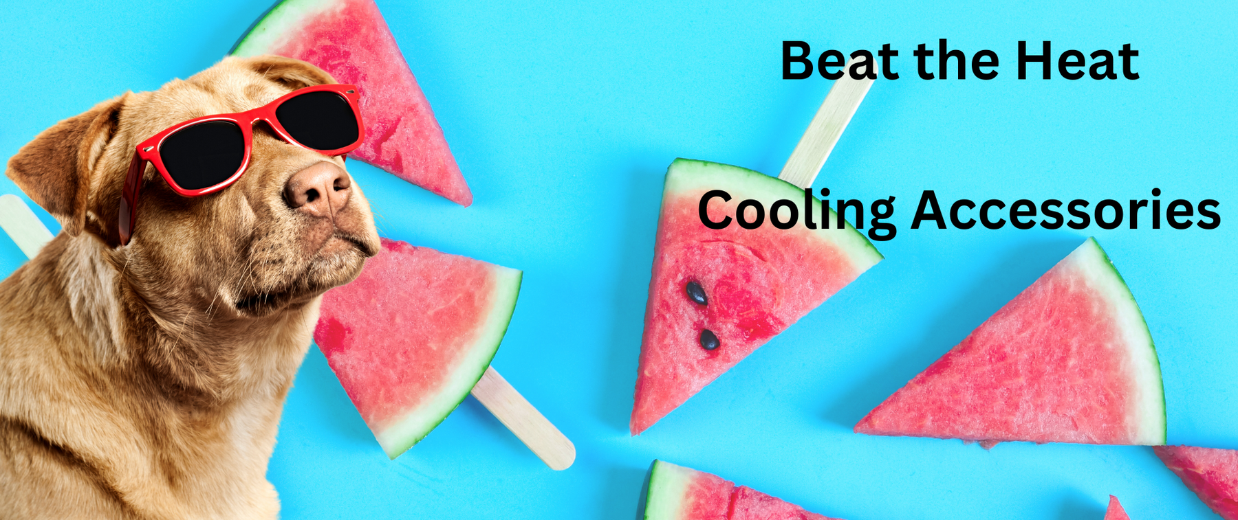 Beat The Heat This Summer with Cooling Accessories