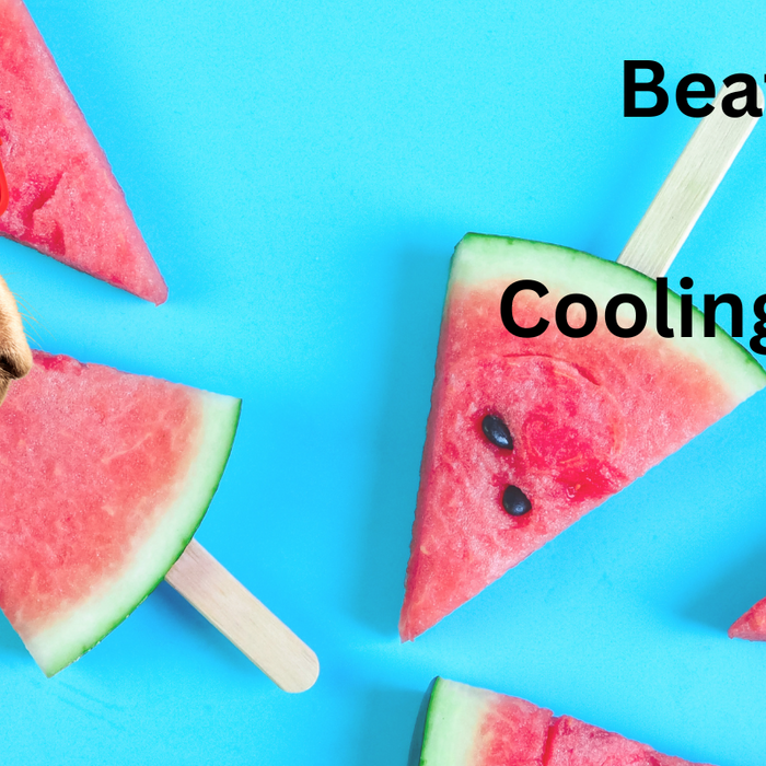 Beat The Heat This Summer with Cooling Accessories