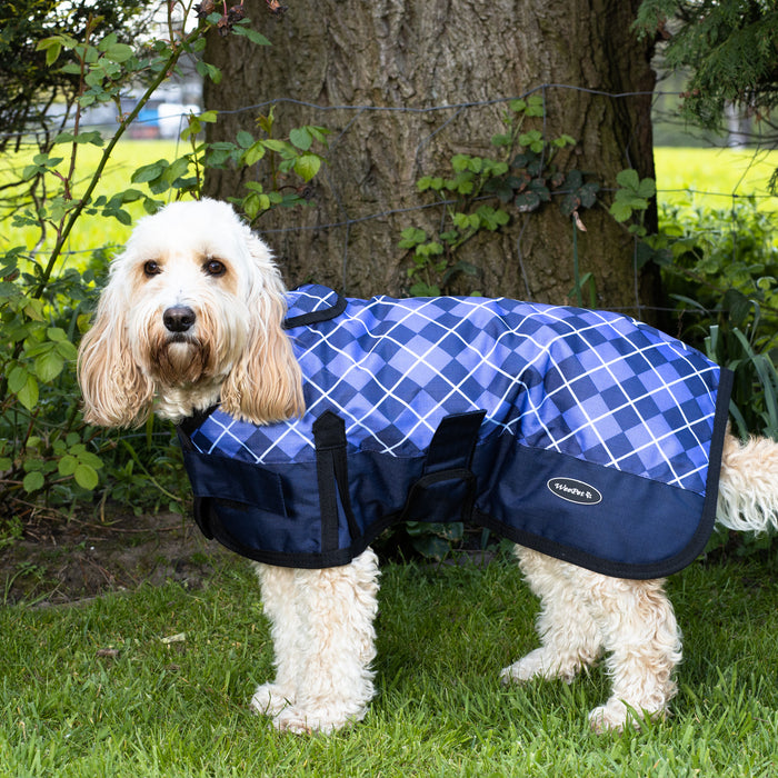 Does your dog need a dog coat?