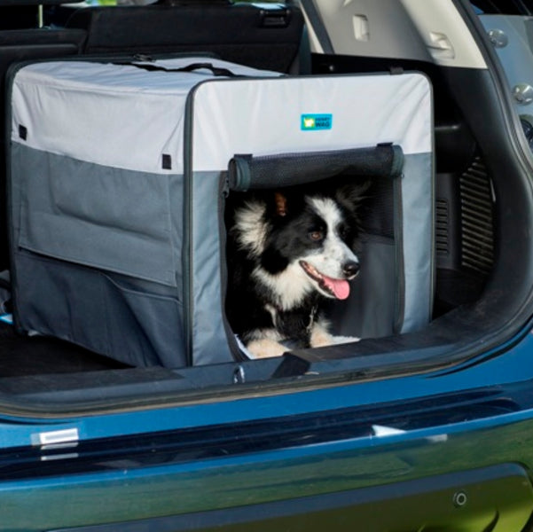 Border collie crate size discount