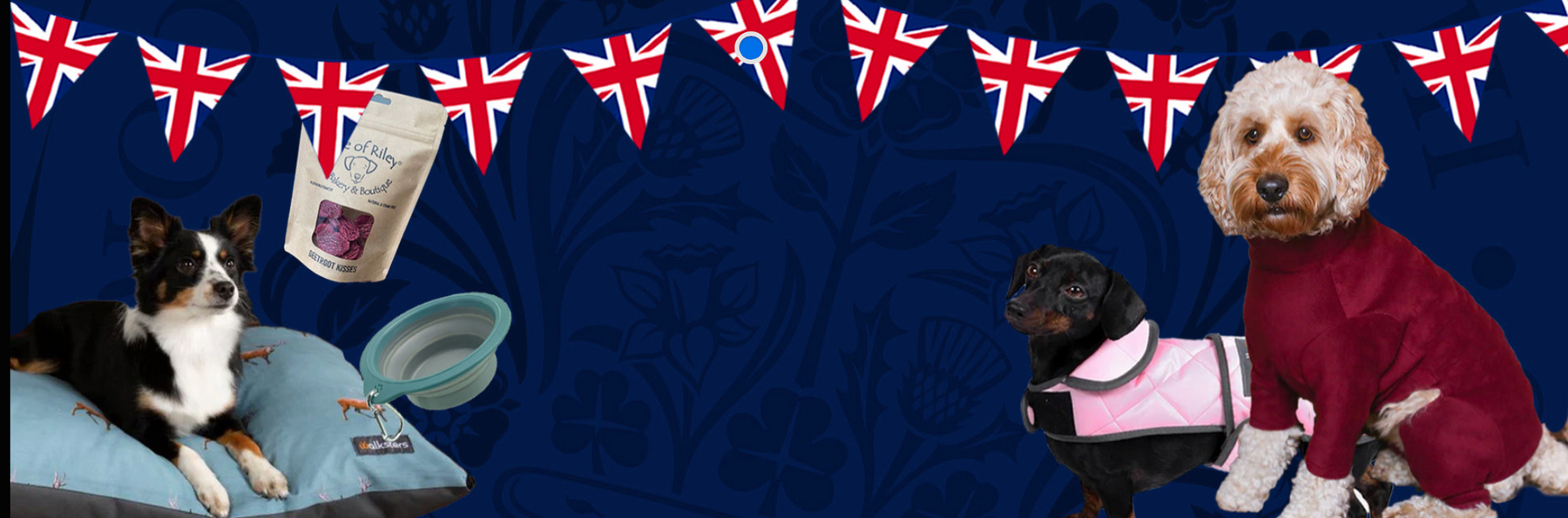 Best of British Brands Blog - featuring dogs in coats, dog treats and a dog bed 