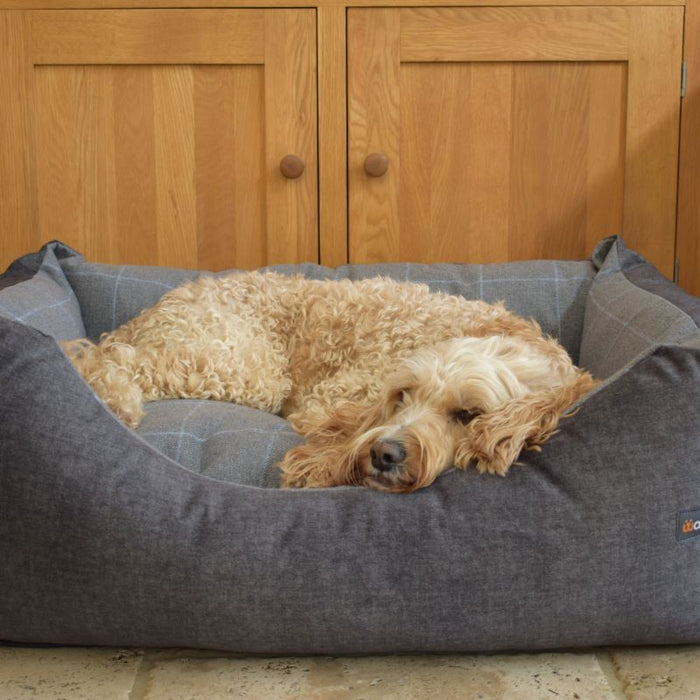 8 Best Luxury Dog Beds for 2022