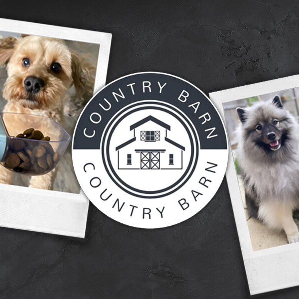 Unveiling Country Barn: A Nourishing Journey for Your Canine Companion