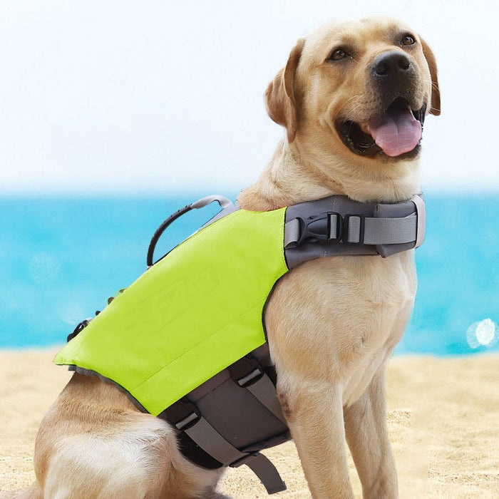 How to choose the best life jacket size for your dog