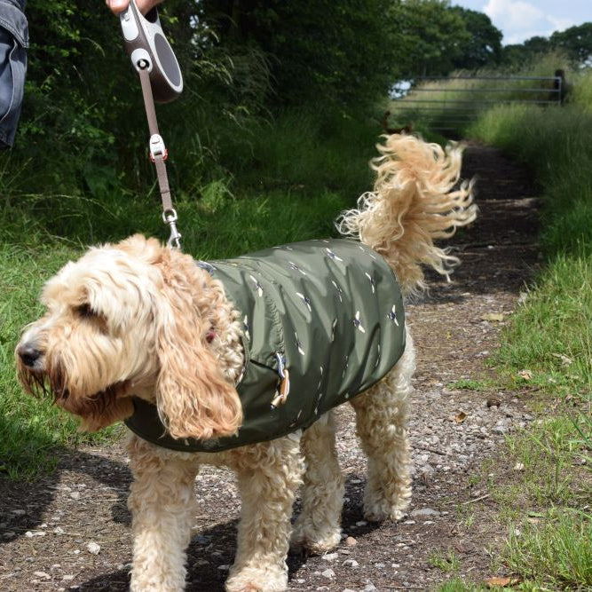 Dog coats for the Summer versus the Winter