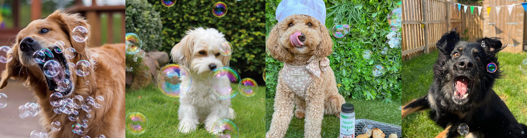 Introducing Meaty Bubbles: The Ultimate Pet Enrichment Tool for Happy and Healthy Pets