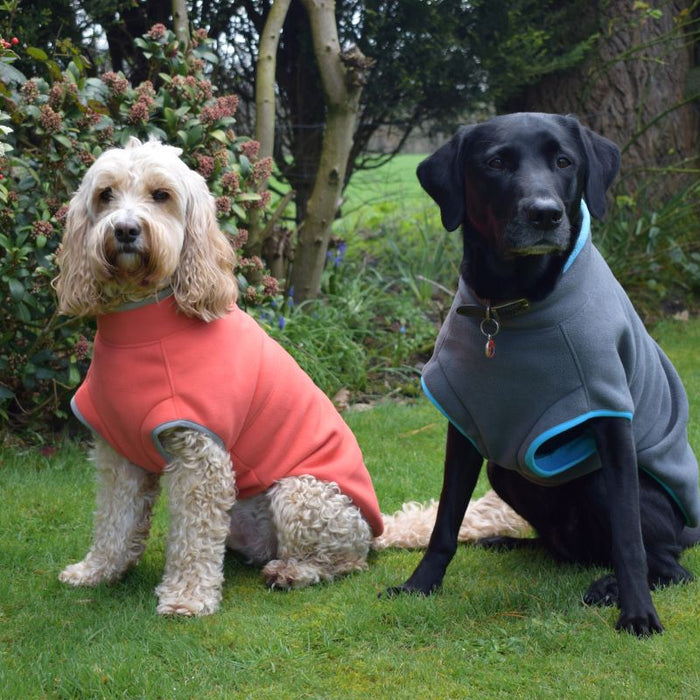 The best dog fleece for your dog