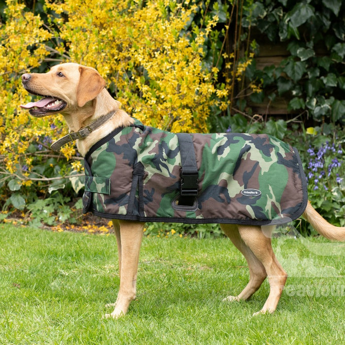 What type of dog coat is best for gun dog breeds?