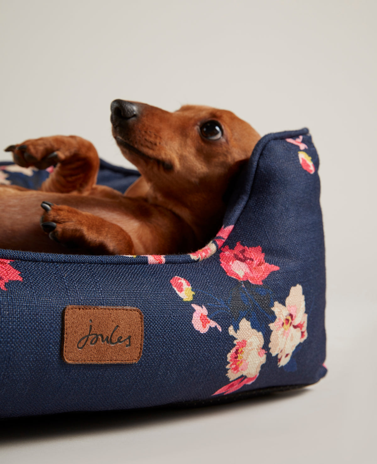 Dog online beds clearance